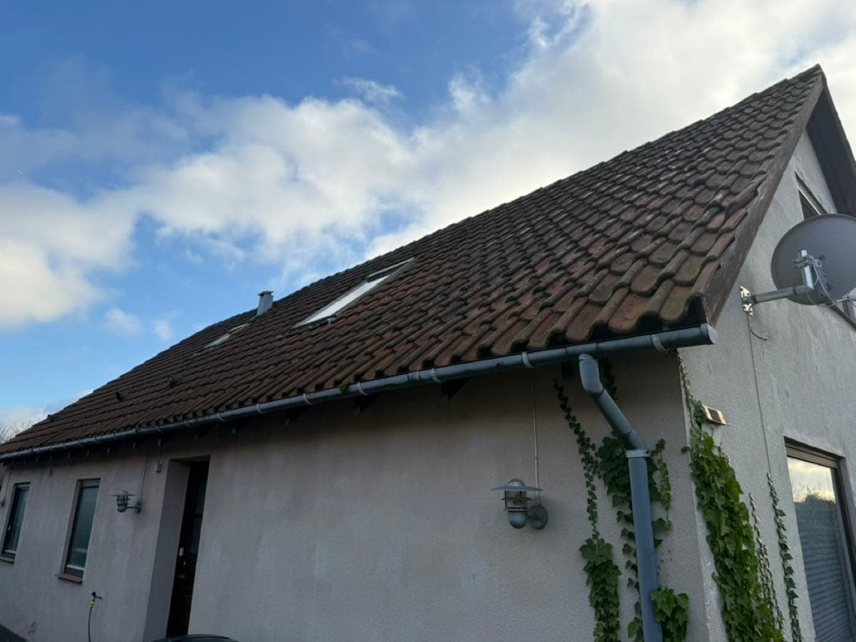 Tag-tjek af tagrender: Tagrende og nedløbsrør på dansk parcelhus der bør renses inden vinteren